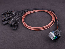 Load image into Gallery viewer, MaxxECU PRO flying lead harness 3m connector 2 EGT