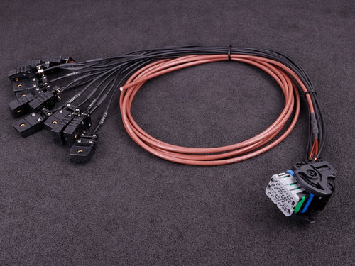 MaxxECU PRO flying lead harness 3m connector 2 EGT