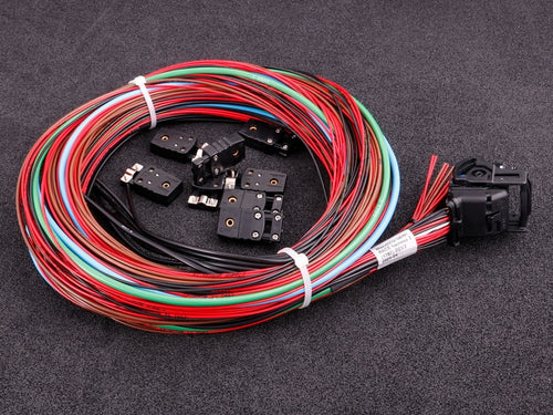 MaxxECU RACE harness 2 EGT E-Throttle extra