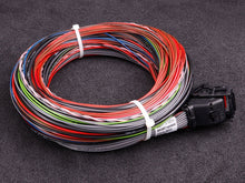 Load image into Gallery viewer, MaxxECU SPORT cable harness