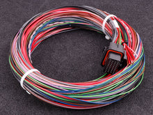 Load image into Gallery viewer, MaxxECU GEN2 RACE cable harness 1