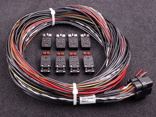 MaxxECU GEN2 RACE cable harness 4