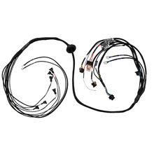 Load image into Gallery viewer, FuelTech FT550 6 cylinder expansion B harness