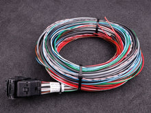 Load image into Gallery viewer, MaxxECU V1/RACE/PRO flying lead wiring harness connector 1