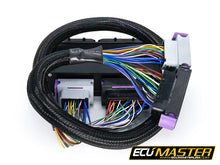 Load image into Gallery viewer, ECU Master Audi B5 S4 / RS4 PNP for EMU Black