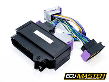 Load image into Gallery viewer, ECU Master Audi 2.2 AAN / 3B / ABY PNP for EMU Classic