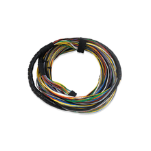 Load image into Gallery viewer, FuelTech FT250 FT300 FT350 FT400 dyno extension main harness with male and female plugs