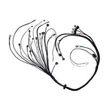 Load image into Gallery viewer, FuelTech FT450/550 4 cylinder universal A harness overview