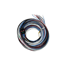 Load image into Gallery viewer, FuelTech FT450 FT550 A connector unterminated harness