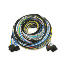 Load image into Gallery viewer, FuelTech FT500 dyno extension harness
