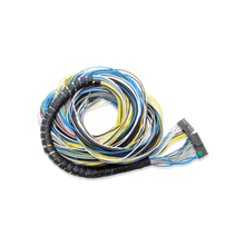 Load image into Gallery viewer, FuelTech FT500 unterminated wiring harness