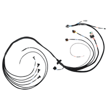 Load image into Gallery viewer, FuelTech FT550 4 cylinder universal B expansion harness