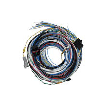 Load image into Gallery viewer, FuelTech FT550 A and B unterminated harness set