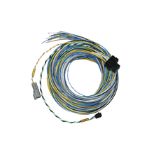 Load image into Gallery viewer, FuelTech FT550 B connector unterminated harness