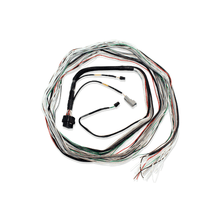 Load image into Gallery viewer, FuelTech FT600 FT700 A and B unterminated harness