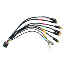 Load image into Gallery viewer, FuelTech FT700 Multimedia M wiring harness