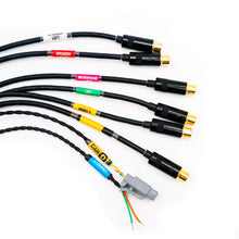 Load image into Gallery viewer, FuelTech FT700 Multimedia M harness connector detail