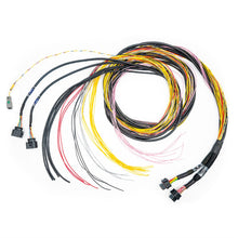 Load image into Gallery viewer, FuelTech FT700 C and D unterminated wiring harness