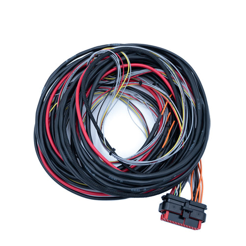 FuelTech FTSPARK-4 CDI ignition module wiring harness