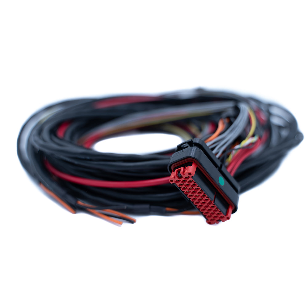FuelTech FTSPARK-6 harness module connector detail
