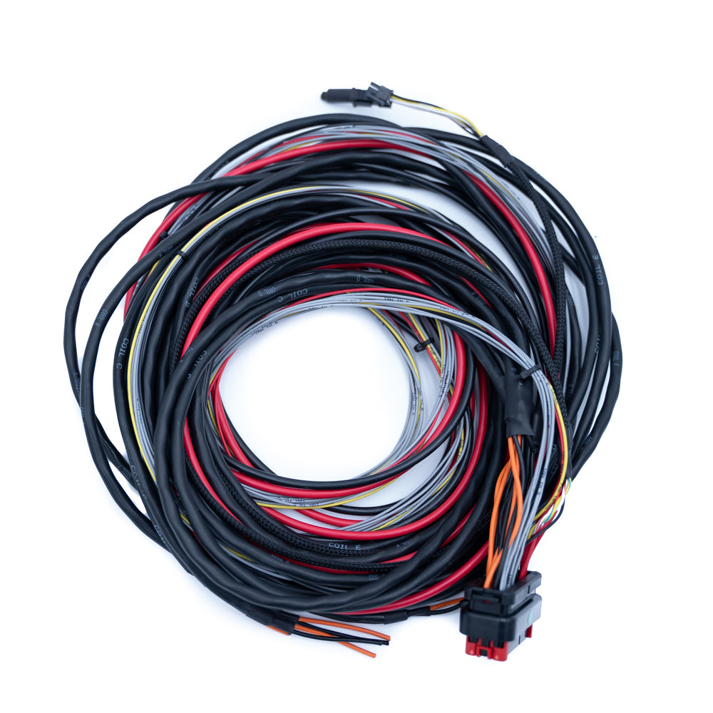FuelTech FTSPARK-6 CDI ignition module wiring harness