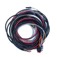 Load image into Gallery viewer, FuelTech FTSPARK-6 CDI ignition module wiring harness