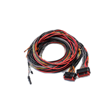 Load image into Gallery viewer, FuelTech FTSPARK EXTREME harness connectors close-up