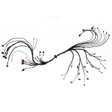 Load image into Gallery viewer, FuelTech FT550 LS Gen IV complete wiring harness for LS swap