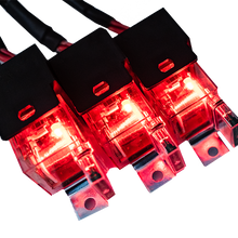 Load image into Gallery viewer, FuelTech LS550 V8 complete harness laid out