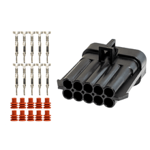 Load image into Gallery viewer, FuelTech LS550 V8 harness 10-way input connector kit