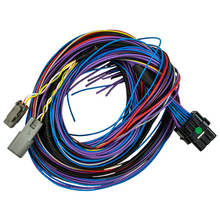 Load image into Gallery viewer, FuelTech Peak and Hold PRO injector driver wiring harness