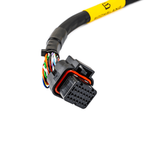 Load image into Gallery viewer, FuelTech 2009 and older Sea-Doo harness laid out