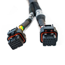 Load image into Gallery viewer, FuelTech FT700 C and D harness coiled