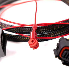 Load image into Gallery viewer, FuelTech NanoPRO OBD2 harness connectors laid out