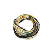 Load image into Gallery viewer, FuelTech GearController unterminated harness