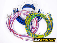 Load image into Gallery viewer, ECU Master EMU Flying Lead Harness