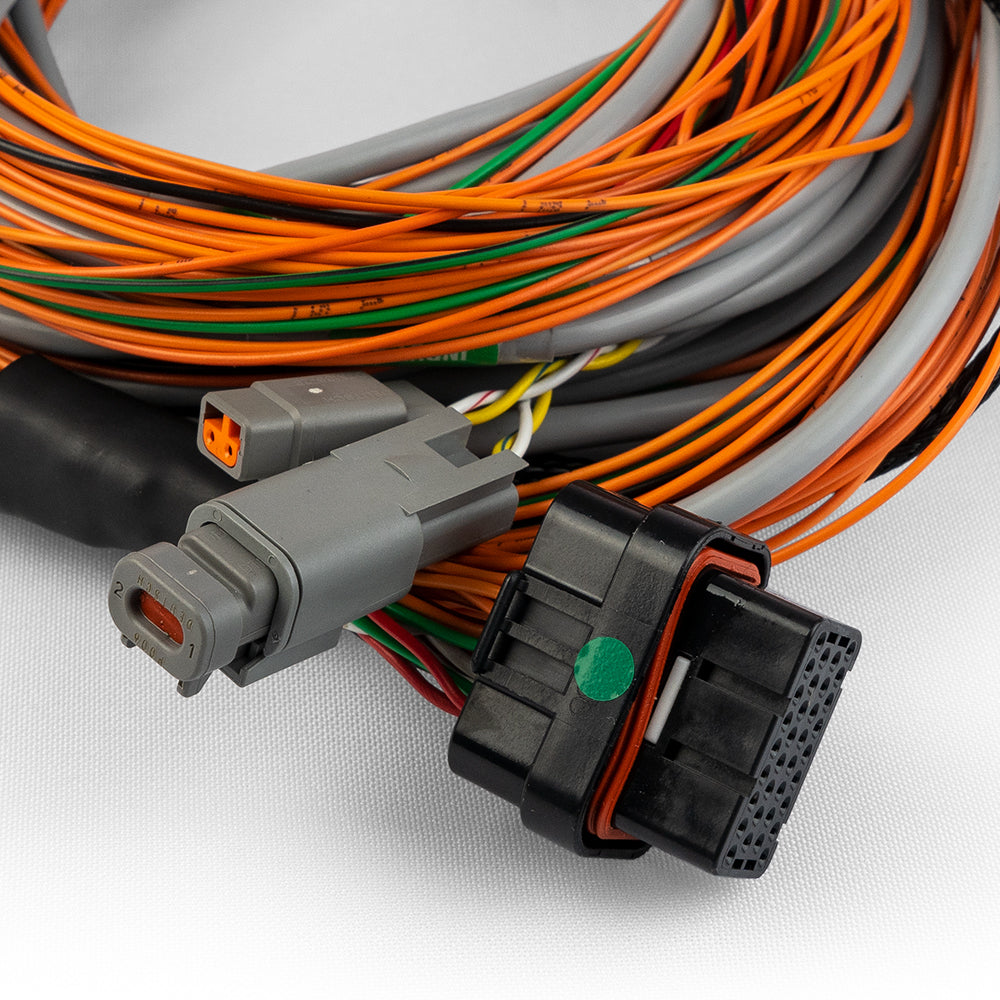 FuelTech Input Expander harness connector detail