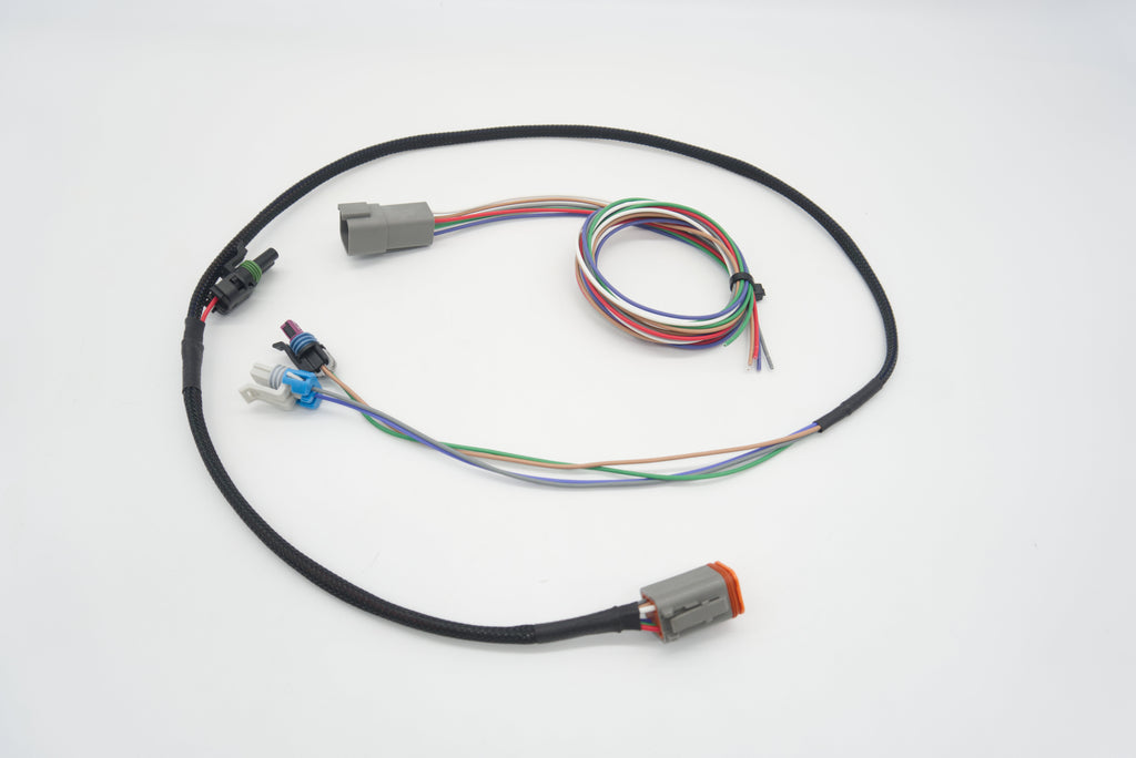 Autosports Engineering T56 Magnum Transmission Wire Harness