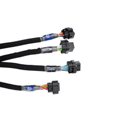 Load image into Gallery viewer, FuelTech Ford Godzilla harness labeled engine connectors