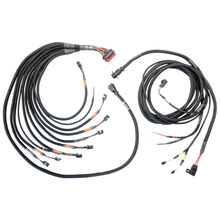 Load image into Gallery viewer, FuelTech FT550/FT600 FTSPARK-8 PRO ignition harness
