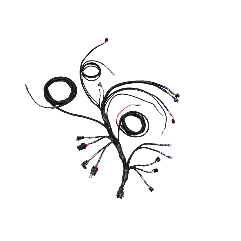 FuelTech PRO550 V8 harness cabin side