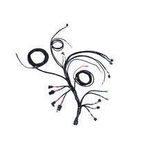 Load image into Gallery viewer, FuelTech PRO550 V8 harness cabin side