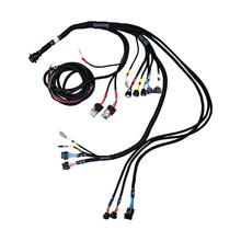 Load image into Gallery viewer, FuelTech PRO600 V8 harness ECU side