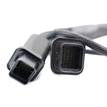 Load image into Gallery viewer, FuelTech FT550 to FT600 adapter harness ECU-side connectors