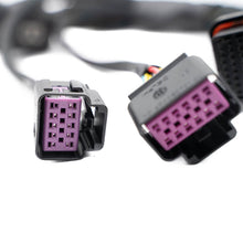 Load image into Gallery viewer, FuelTech FT550 to FT600/FT700 adapter harness wiring detail