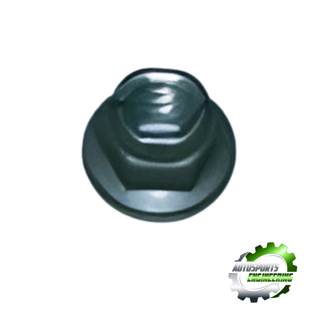Exhaust Nut 8mm x 1.25