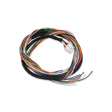 Load image into Gallery viewer, FuelTech WB-O2 Datalogger unterminated harness