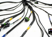 Load image into Gallery viewer, FuelTech 4 cylinder A harness coil connectors