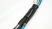 Load image into Gallery viewer, FuelTech 4 cylinder A harness crank and cam connectors