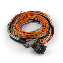 Load image into Gallery viewer, FuelTech FT Input Expander wiring harness
